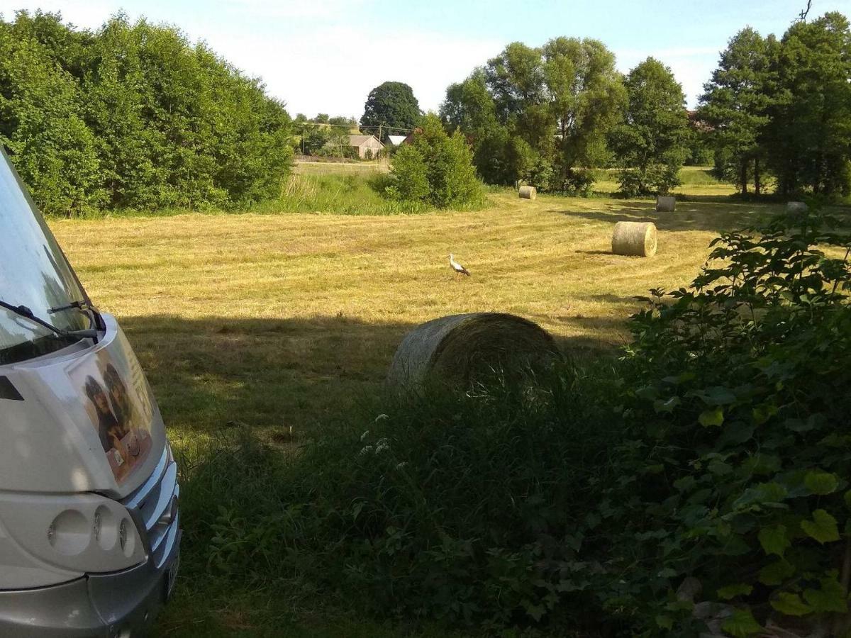 W Starej Szkole - Agroturystyka Pieczarki Eksteriør bilde